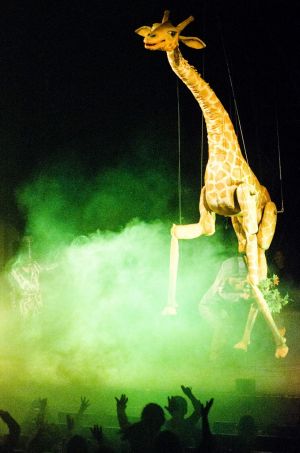 cyrk-bez-przemocy-teatr-klinika-lalek-orkiestra-graal-teatr-ocelot