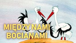 Między nami bocianami
