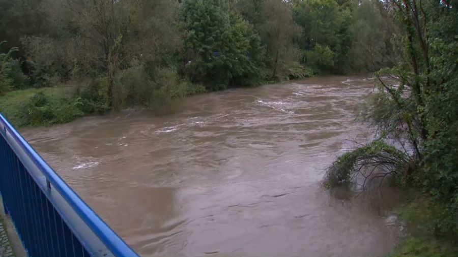 fot. TVP3 Gorzów Wlkp.