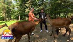 Anita Włodarczyk na obozie w Arłamowie (fot. TVP)