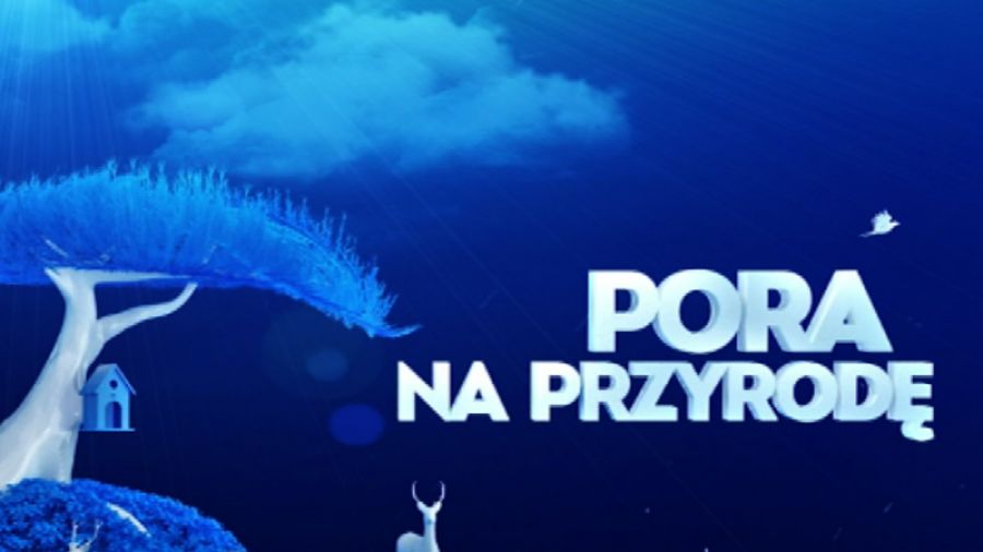 Pora na przyrodę