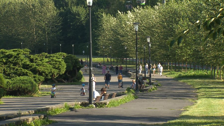Fot. TVP3 Katowice