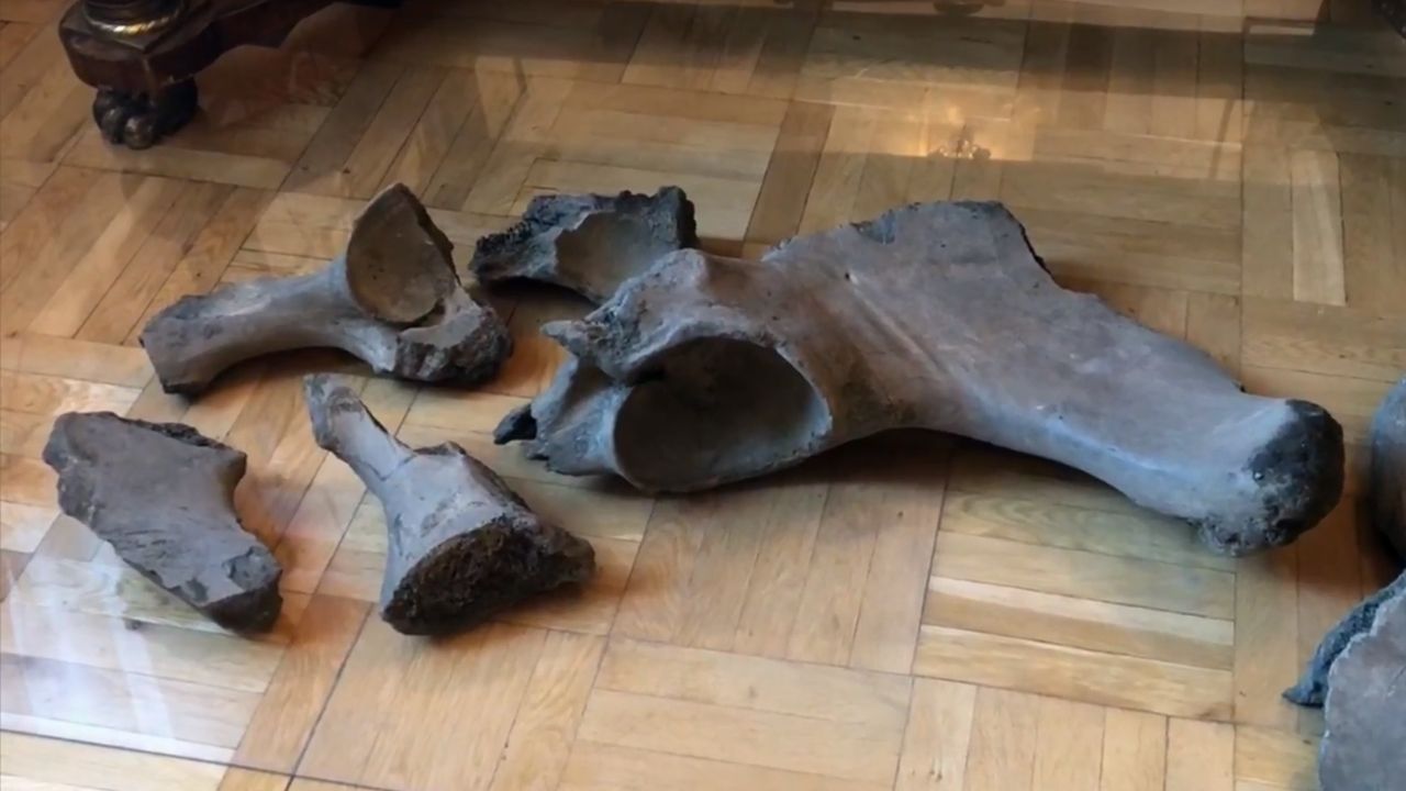 Kości badająteraz archeolodzy (fot. YT/Warszawa) Kości badająteraz archeolodzy (fot. YT/Warszawa)