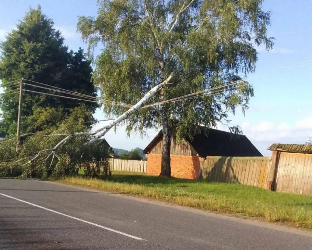 Наступствы ўрагану ў Беларусі. (Фота: Міністэрства энергетыкі)