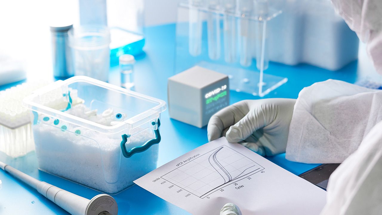 W laboratorium na Śląsku wykryto 5 wariantów koronawirusa (fot. Shutterstock/anyaivanova) W laboratorium na Śląsku wykryto 5 wariantów koronawirusa (fot. Shutterstock/anyaivanova)