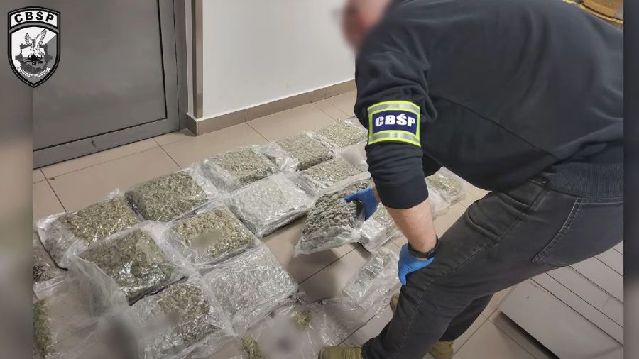 Policjanci CBŚP rozbili gang narkotykowy; przejęli narkotyki warte 2 mln zł