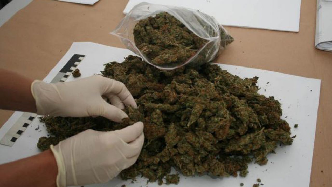 W „hurtowni” zatrzymano m.in. 3,5 kilograma marihuany, ponad 85 gramów amfetaminy i 35 gramów kokainy (fot. TVP) W „hurtowni” zatrzymano m.in. 3,5 kilograma marihuany, ponad 85 gramów amfetaminy i 35 gramów kokainy (fot. TVP)