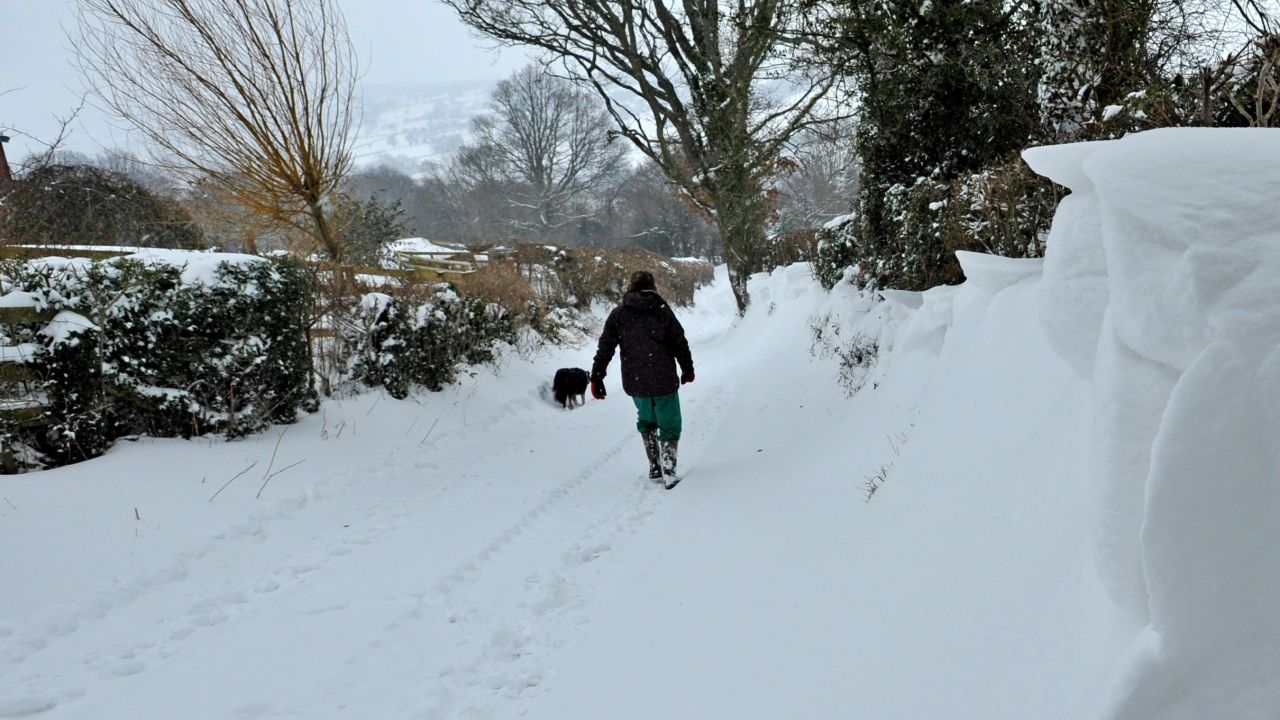 Wielka Brytania. Uderzyły pierwsze śnieżyce (fot. Chas Breton / Barcroft Media via Getty Images)