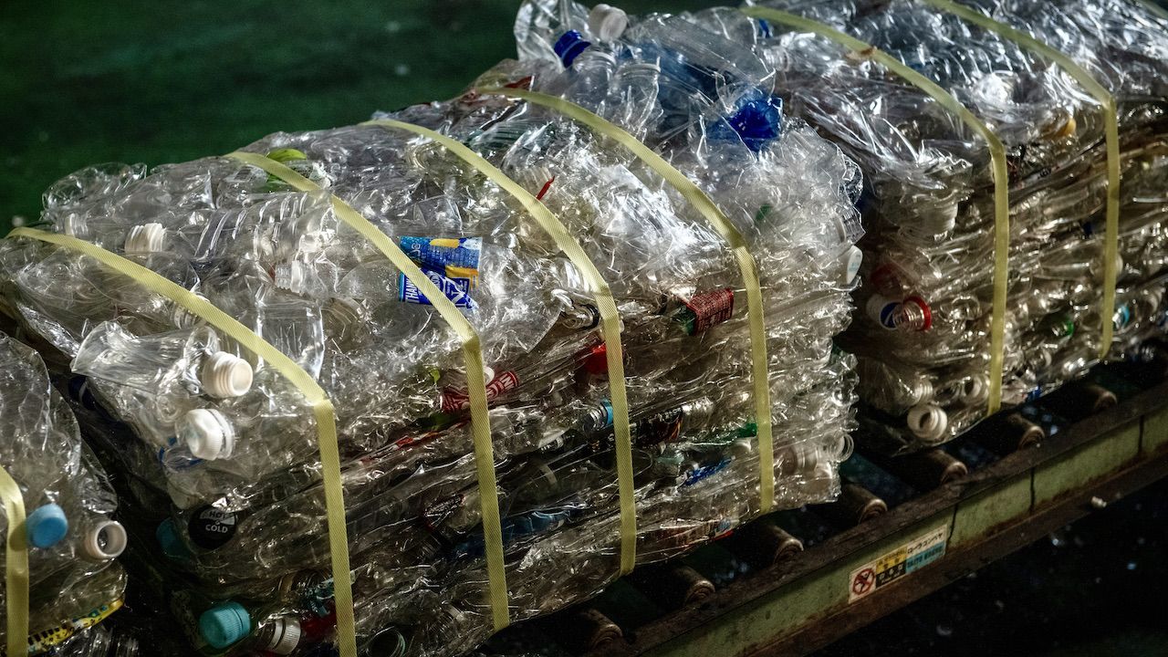 Recycling w praktyce, czyli miliony na śmietniku - Vimarsana News
