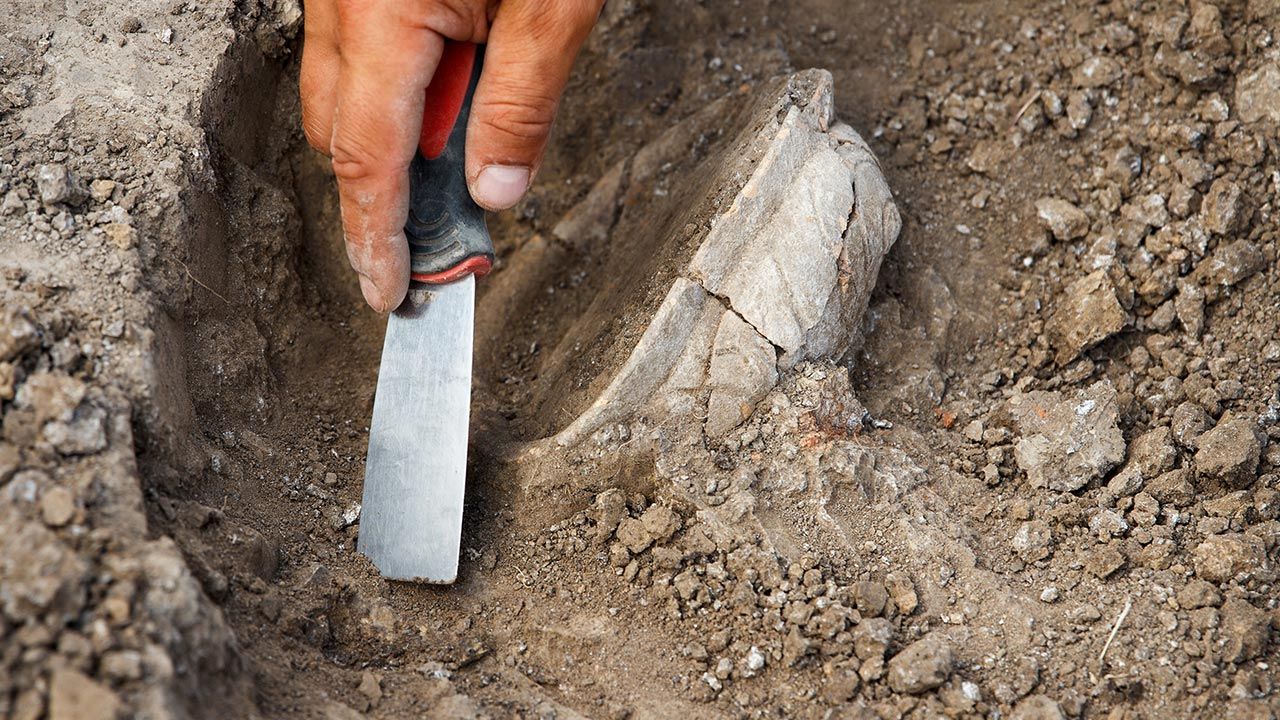 Odkrycie archeologiczne (fot. Shutterstock; zdjęcie ilustracyjne)