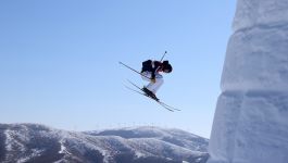 Alexander Hall (fot. Getty Images)