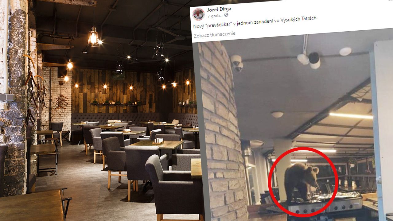 Młody osobnik dostał się przez drzwi uruchamiane fotokomórką (fot. Shutterstock;FB) Młody osobnik dostał się przez drzwi uruchamiane fotokomórką (fot. Shutterstock;FB)