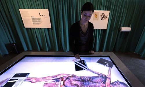 An interactive screen displaying Ötzi's mummified body at the Archaeological Museum of South Tyrol in Bolzano, Italy. Photo PAP/APA 