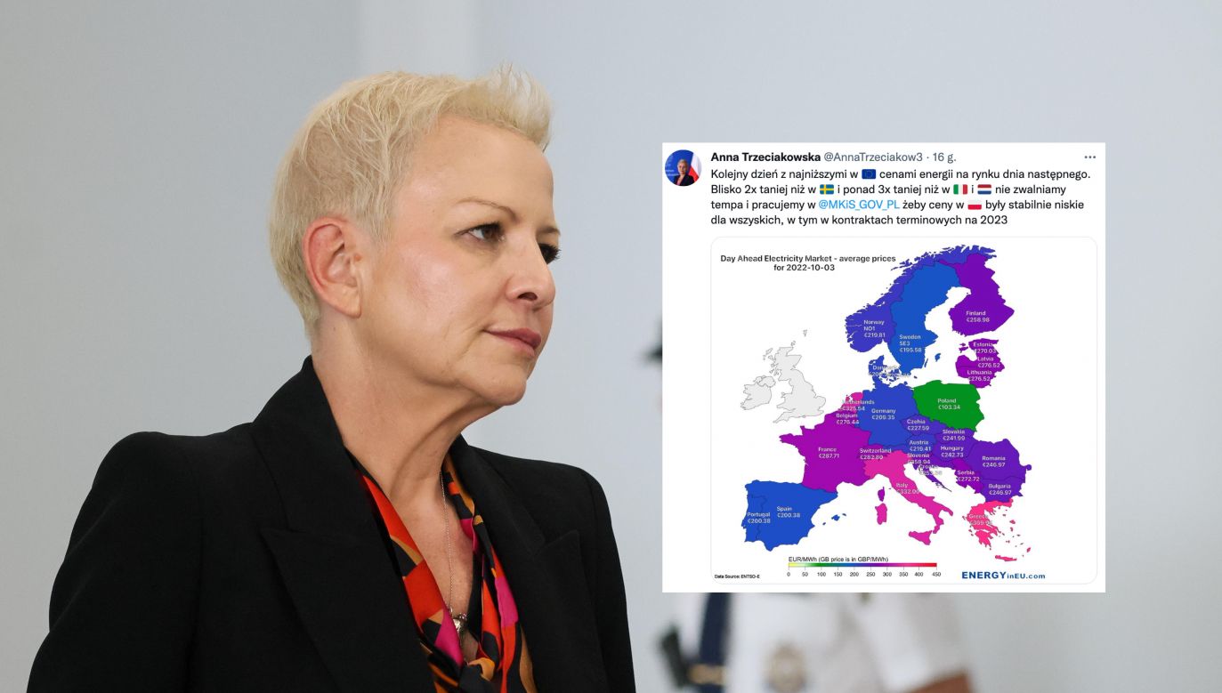 Ceny energii. Podsekretarz stanu w Ministerstwie Klimatu i Środowiska Anna Trzeciakowska komentuje (fot. PAP/Leszek Szymański)