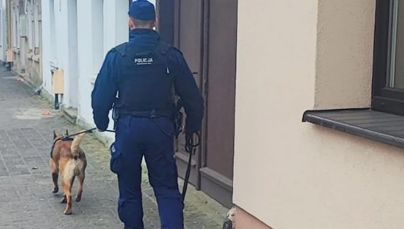 To kolejny w ostatnim czasie sukces psa tropiącego (fot. policja)