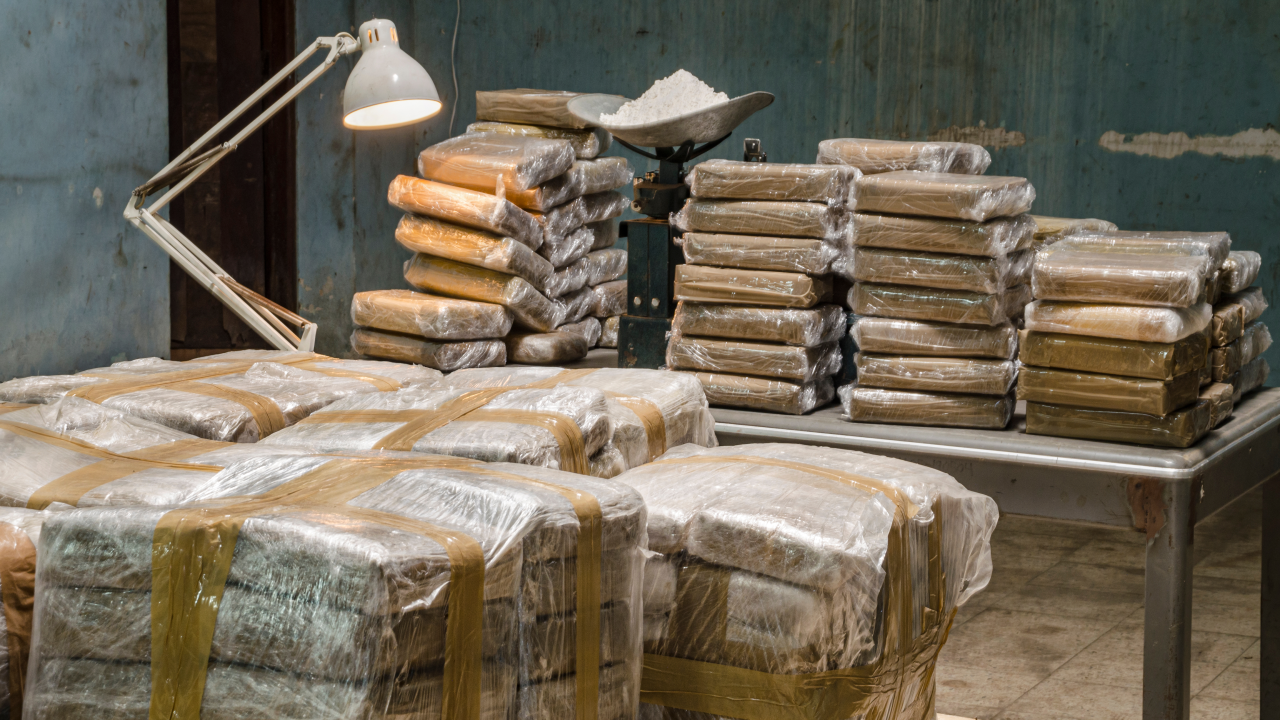 Belgijska policja skonfiskowała 115 kilogramów kokainy należącej do serbskich handlarzy narkotykami (zdj. ilustracyjne; fot. Shutterstock)