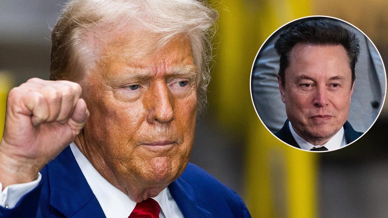 Donald Trump i Elon Musk - miejsce w administracji Trumpa | TVP INFO