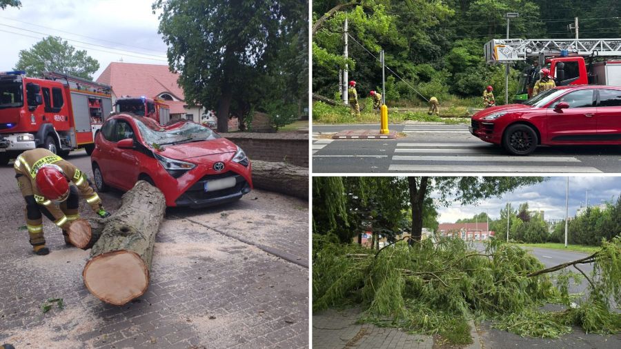 Skutki wichury w Zachodniopomorskiem – powalone przez wiatr drzewo leżące na drodze, przygnieciona auto, zablokowana trakcja tramwajowa (źródło: A. Wójcik)