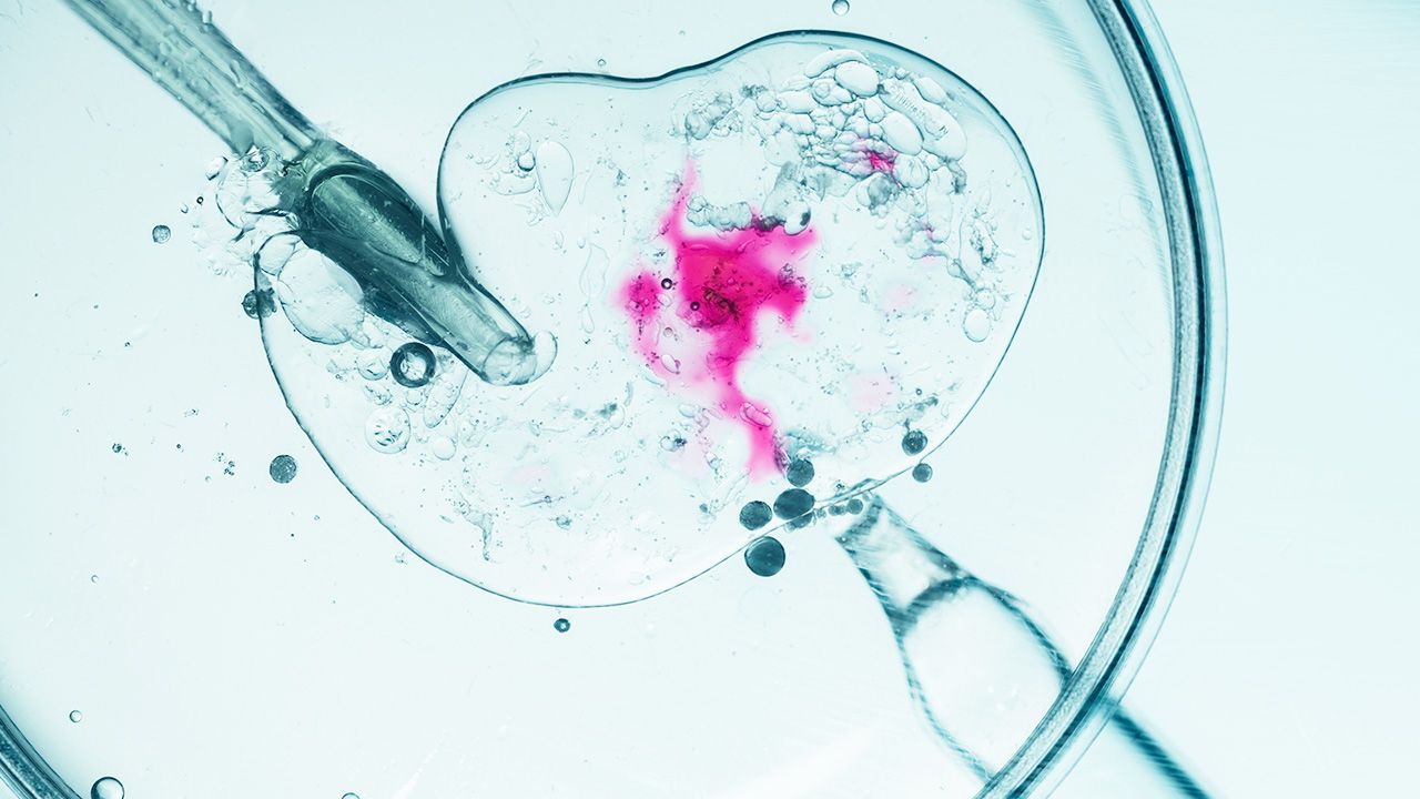 „Coś było nie tak”. Nieprawidłowości podczas zabiegów in vitro