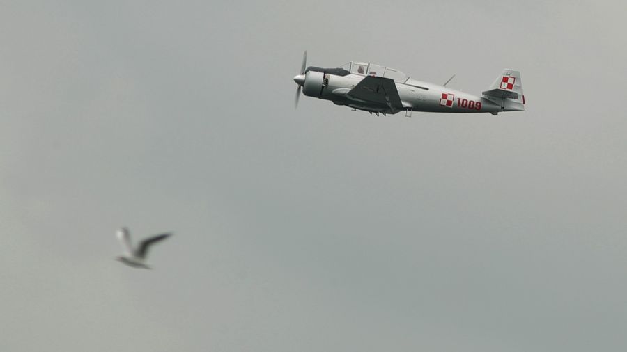 Samolot szkolno-treningowy TS-8 Bies, należący do fundacji Zabytki Polskiego Nieba podczas pokazów lotniczych Mazury Airshow 2016 w Giżycku. Taką maszyną uciekł z Polski mjr Ryszard Obacz z rodziną w 1963 roku. Fot.PAP/Tomasz Waszczuk