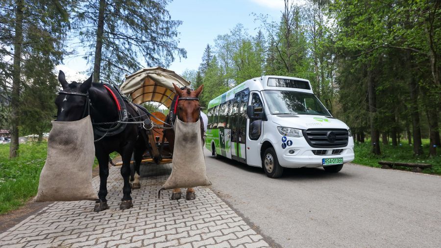 Związek Podhalan za utrzymaniem transportu konnego do Morskiego Oka