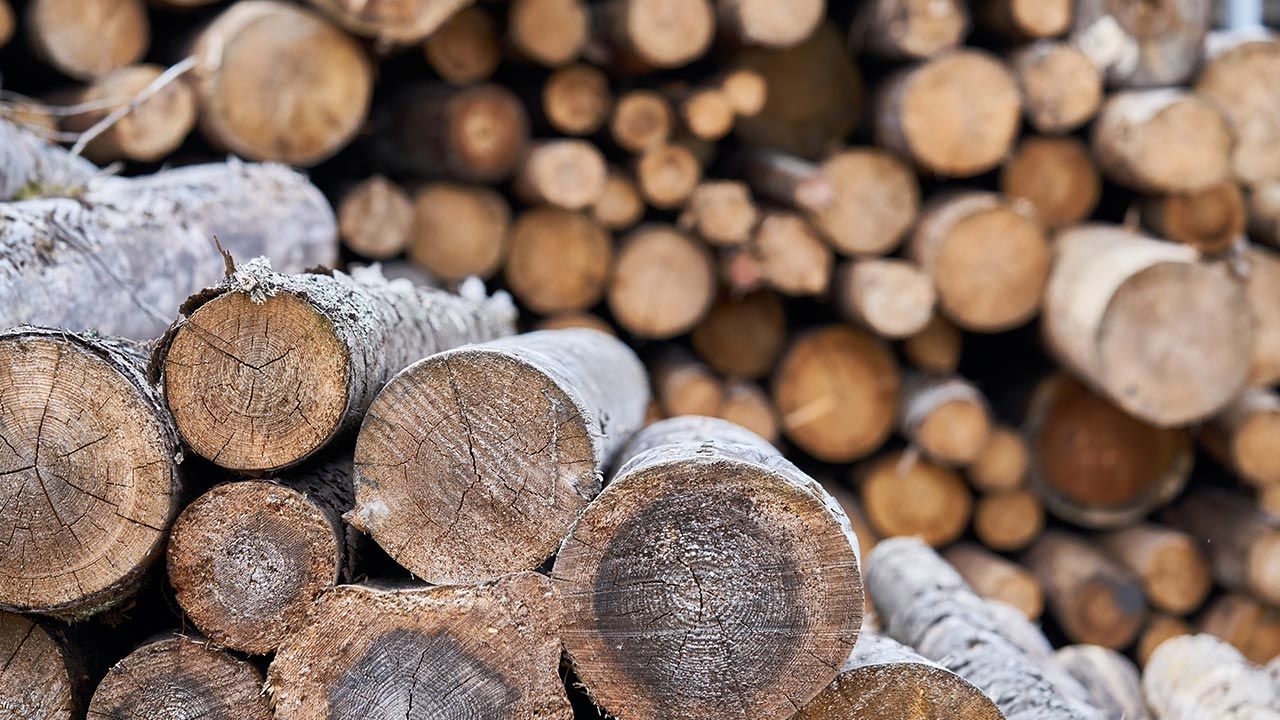 Ceny kubika drewna opałowego w Niemczech sięgają 200 euro (fot. Shutterstock/OlegRi)