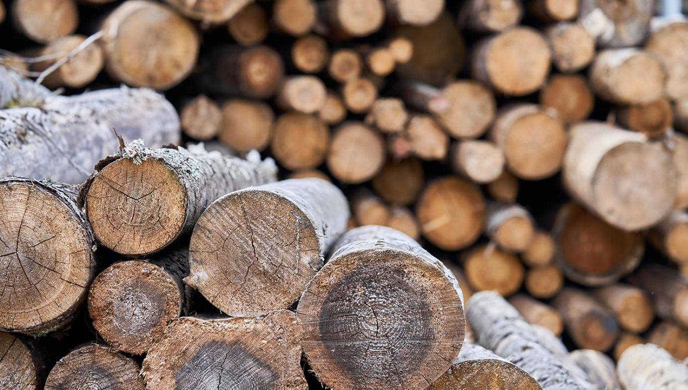 Ceny kubika drewna opałowego w Niemczech sięgają 200 euro (fot. Shutterstock/OlegRi)