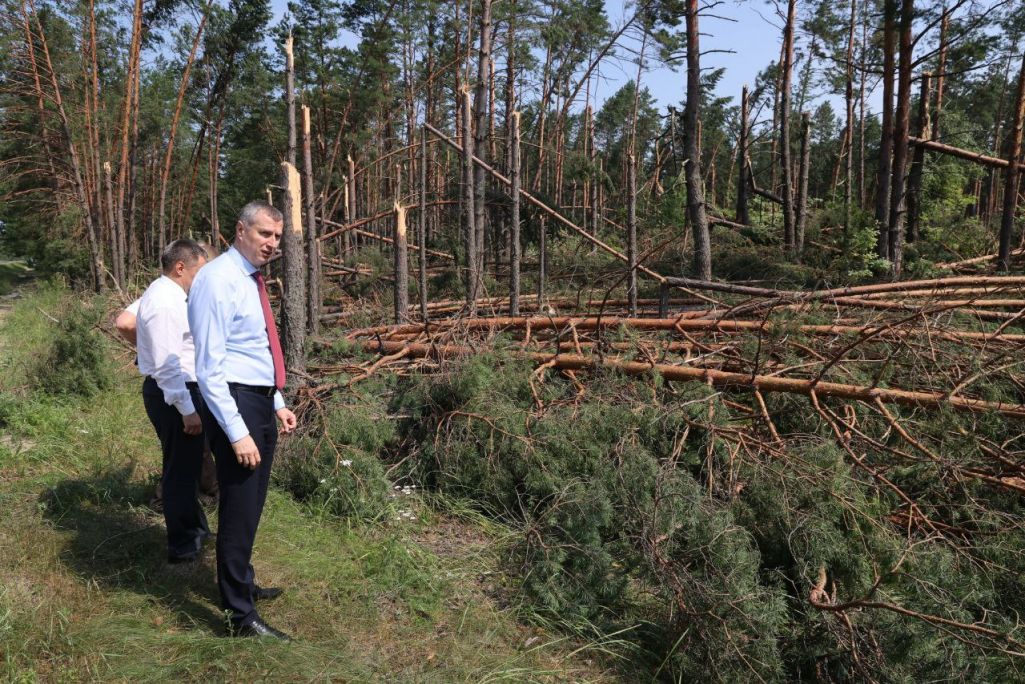 Кіраўнік адміністрацыі Лукашэнкі Дзмітрый Крутой наведвае пацярпелыя ад урагану раёны Гомельскай вобласці, Беларусь. 17 ліпеня 2024 года. (Фота: Пул первого / Telegram)