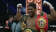 Anthony Joshua (fot. TVP)