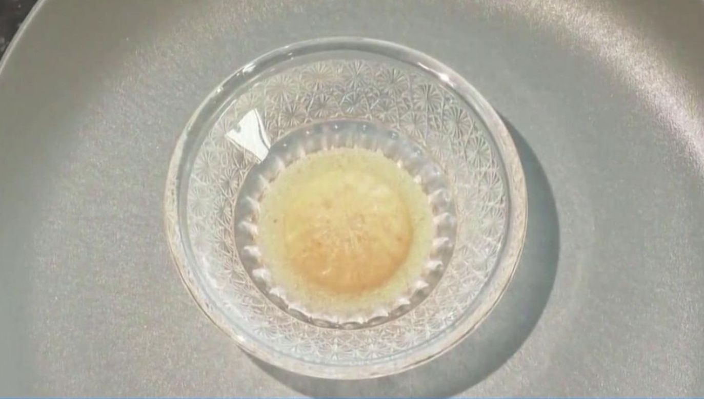 IntegriCulture wyhodowała pasztet w laboratorium (fot.)