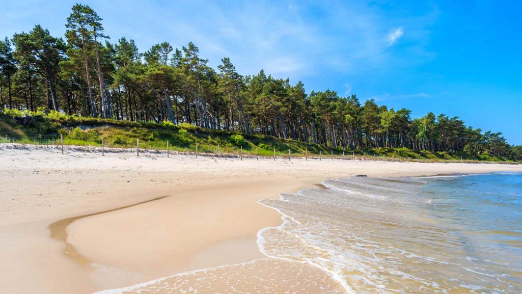 Lubiatowo to spokojna, malownicza miejscowość, znana z szerokich, piaszczystych plaż i pięknych lasów sosnowych. Fot. Pawel Kazmierczak/ Shutterstock