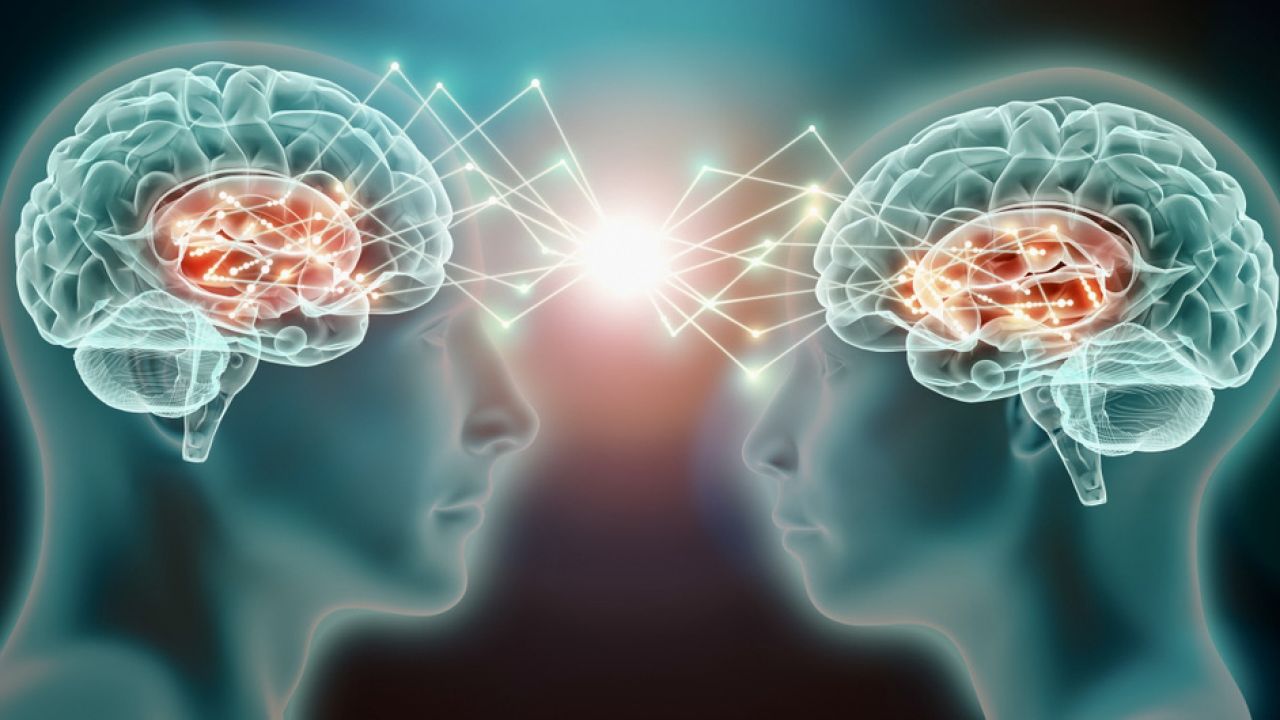 Patrząc na działanie mózgu, da się powiedzieć, czy ktoś jest kobietą czy mężczyzną (fot. Shutterstock/MattLphotography)