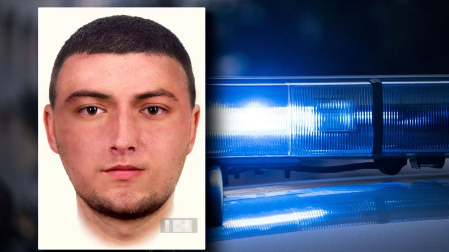 Gdańska policja poszukuje sprawcy gwałtu i prosi kierowców o nagrania z wideorejestratorów. (fot., Policja, Pixabay)