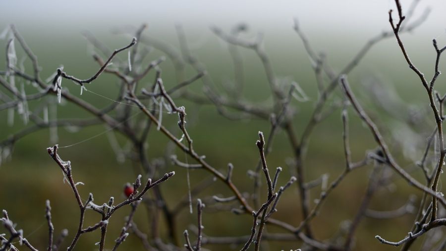 IMGW wydał ostrzeżenia o przymrozkach pierwszego stopnia, które obejmą cały obszar kraju (fot. ilustr. pixabay.com)