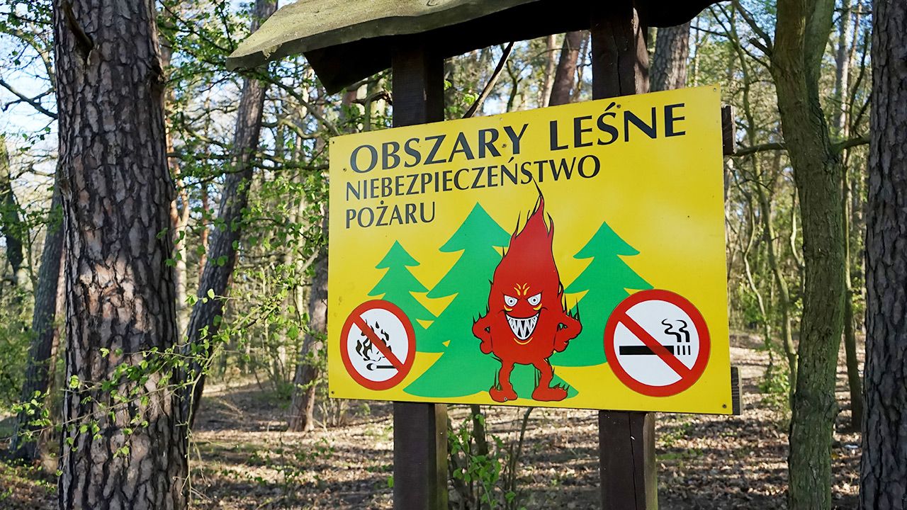 Zagrożenie pożarowe w lasach (fot. PAP/Marcin Bielecki) Zagrożenie pożarowe w lasach (fot. PAP/Marcin Bielecki)