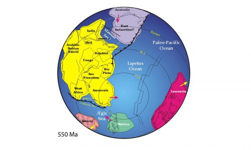 Pangeę otaczał wszechocean Panthalassa, a od wschodu rozcinał ją mniejszy zbiornik – Ocean Tetydy. Uformowała się w karbonie, na skutek zamknięcia się paleozoicznego oceanu Reik oraz kolizji kontynentów Laurosji i Gondwany. W okresie jurajskim rozerwanie się Pangei na dwie części – północną Laurazję i południową, odtworzoną Gondwanę, spowodowało powstanie centralnego Oceanu Atlantyckiego. Lądy uległy dalszemu podziałowi, tworząc obecne oblicze Ziemi z 7 kontynentami. Fot. Wikimedia Commons, Domena publiczna